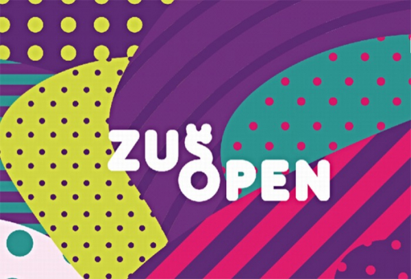 Festival ZUŠ Open se rozprostře po celém kraji