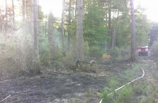 Požár lesa v Čeperce likvidovalo šest jednotek hasičů